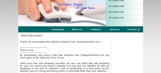 Free SEO company web template