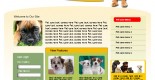 free pet care PSD web template