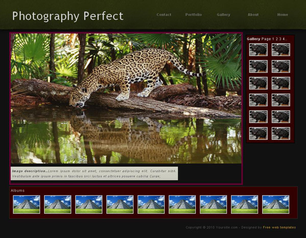 Free Photography portfolio web template