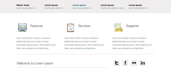 Free Premium Corporate CSS Web template – Pleasant