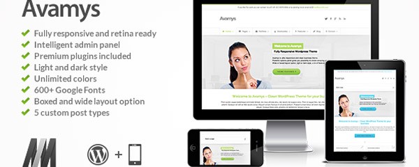 Retina Ready Business WordPress Theme