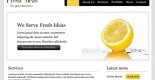 Fresh ideas html5 template