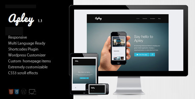 A mobile application landing page wp theme