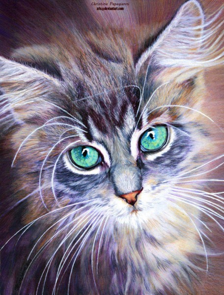 20-cat-hyper-realistic-color-pencil-drawing-by-christina-papagianni