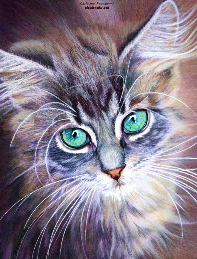 17 Mind Blowing and HyperRealistic Color Pencil Drawings by Christina