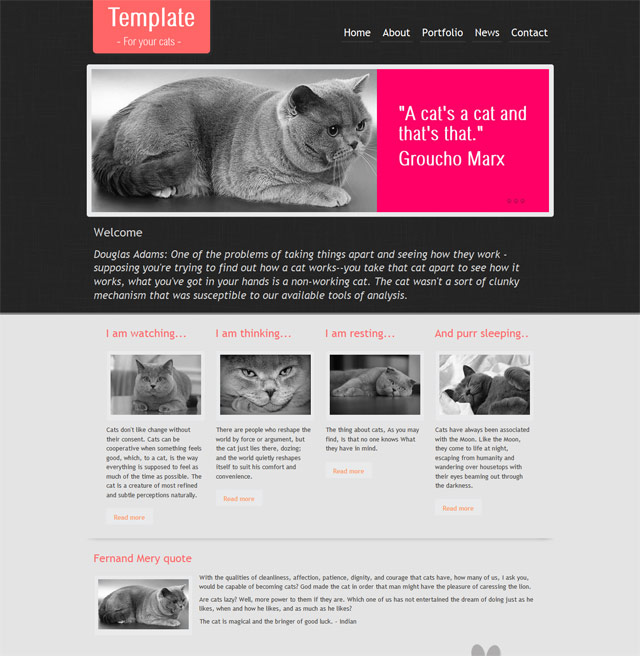 Minimalistic simple clean html5 template