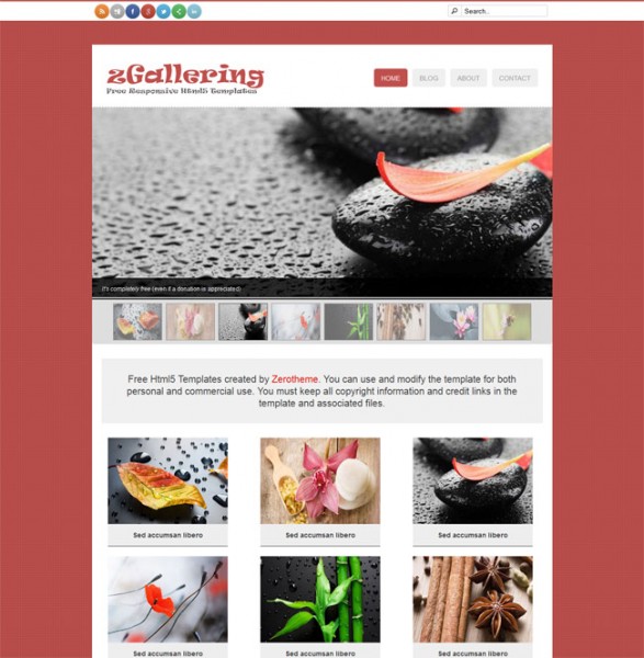 zGallering - Free Html5 Responsive Template
