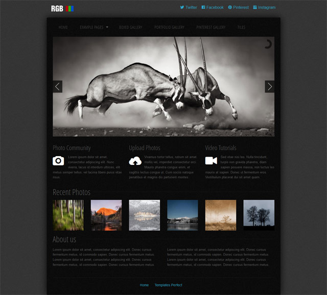 Free Photo Gallery Css Web Template Templates Perfect