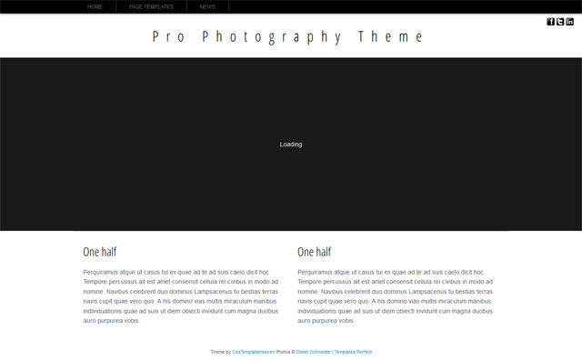 Free photography web template