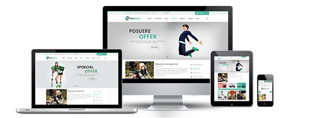 Responsive Opencart Theme