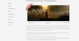 CV Resume - Portfolio website template