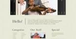 Free music classes website template