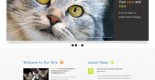 Free pet-club website template
