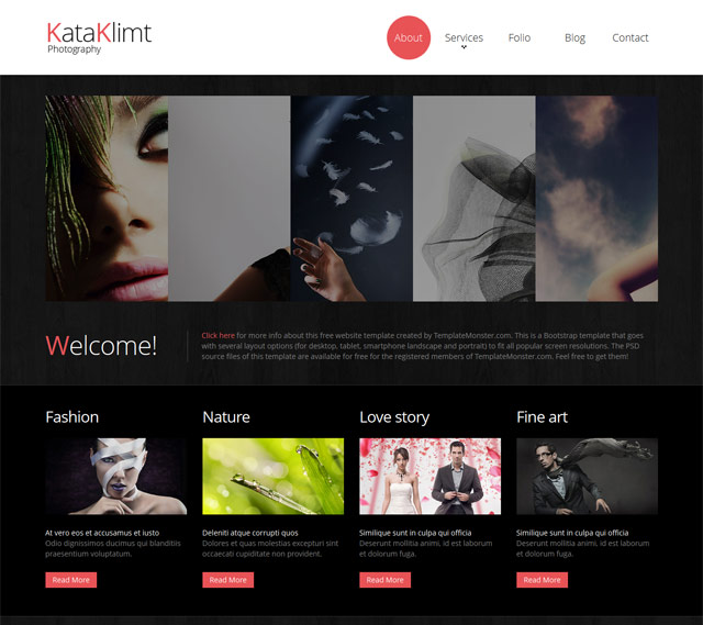Free premium photography gallery template