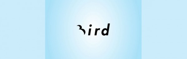 bird