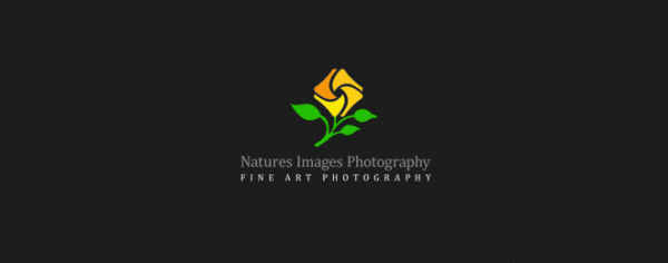 photography-logo-design (17)