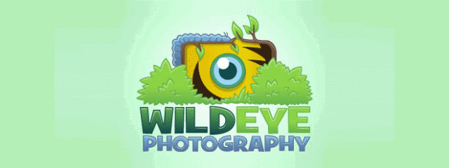 Creative Photography themed logo design examples for your inspiration