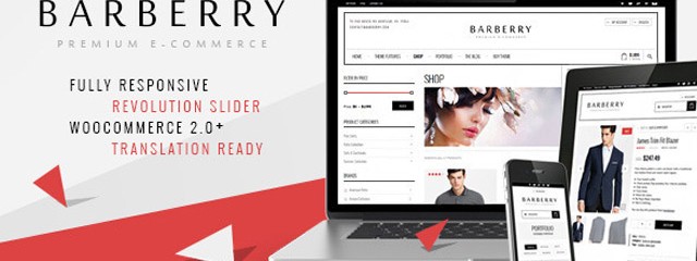 Responsive WooCommerce Theme