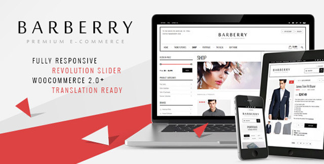 Responsive WooCommerce Theme