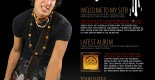 free rock-singer flash template