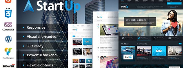 Multi-Purpose Responsive WP Theme