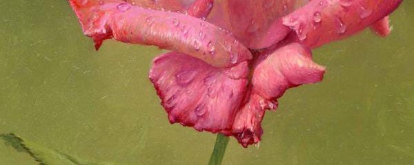 13 Beautiful and Realistic Flower Paintings