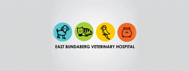 16 Creative Pets and Veterinary Logo Design examples