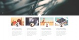 Infusion- Free html5 business template