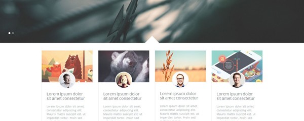 Infusion- Free html5 business template