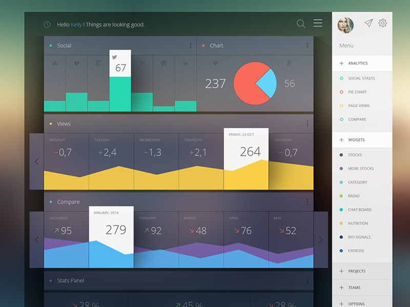 16 Dashboards Mobile User Interfaces for Web Designs | Templates Perfect