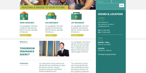 Insurance agency – create business web template