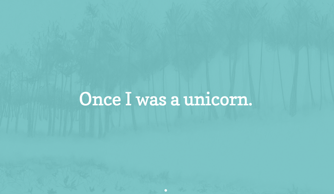 12maybe-onceaunicorn-c