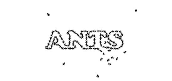 Ants