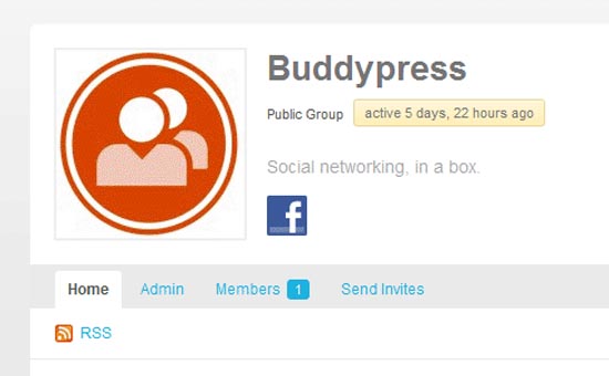 BuddyPress-Facebook2
