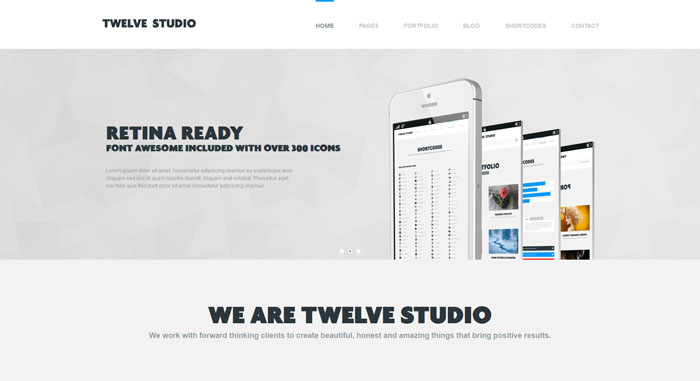 clapat_ro_themes_twelve-wp