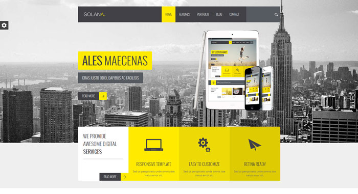 wpthemes_iweb-studio_com_solana