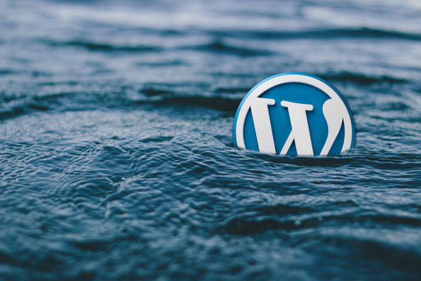 Choosing a WordPress Theme