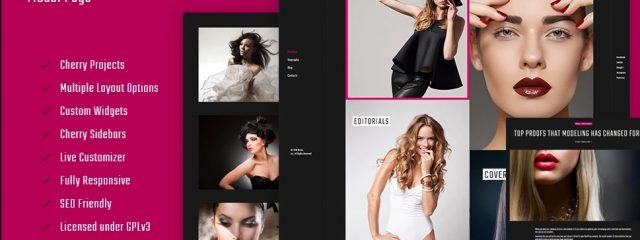 Top WordPress Themes For Photography Websites and Photographers 2017