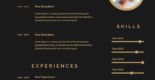 Black PSD Resume template