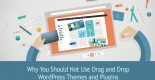 WordPress Themes and Plugin